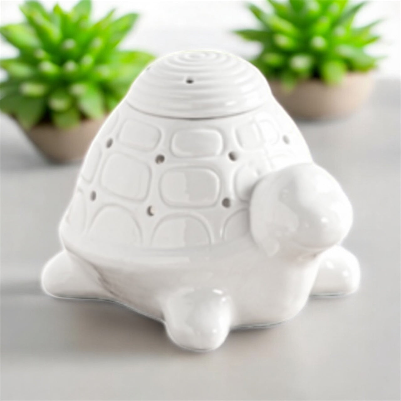 Brûle-parfum Tortue & coffrets